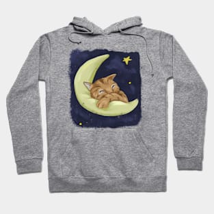 Sleeping cat Hoodie